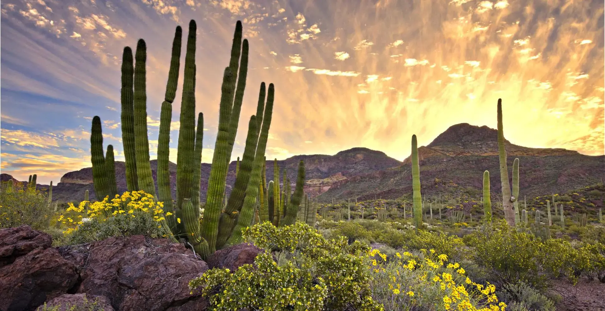 Paisaje de Sonora